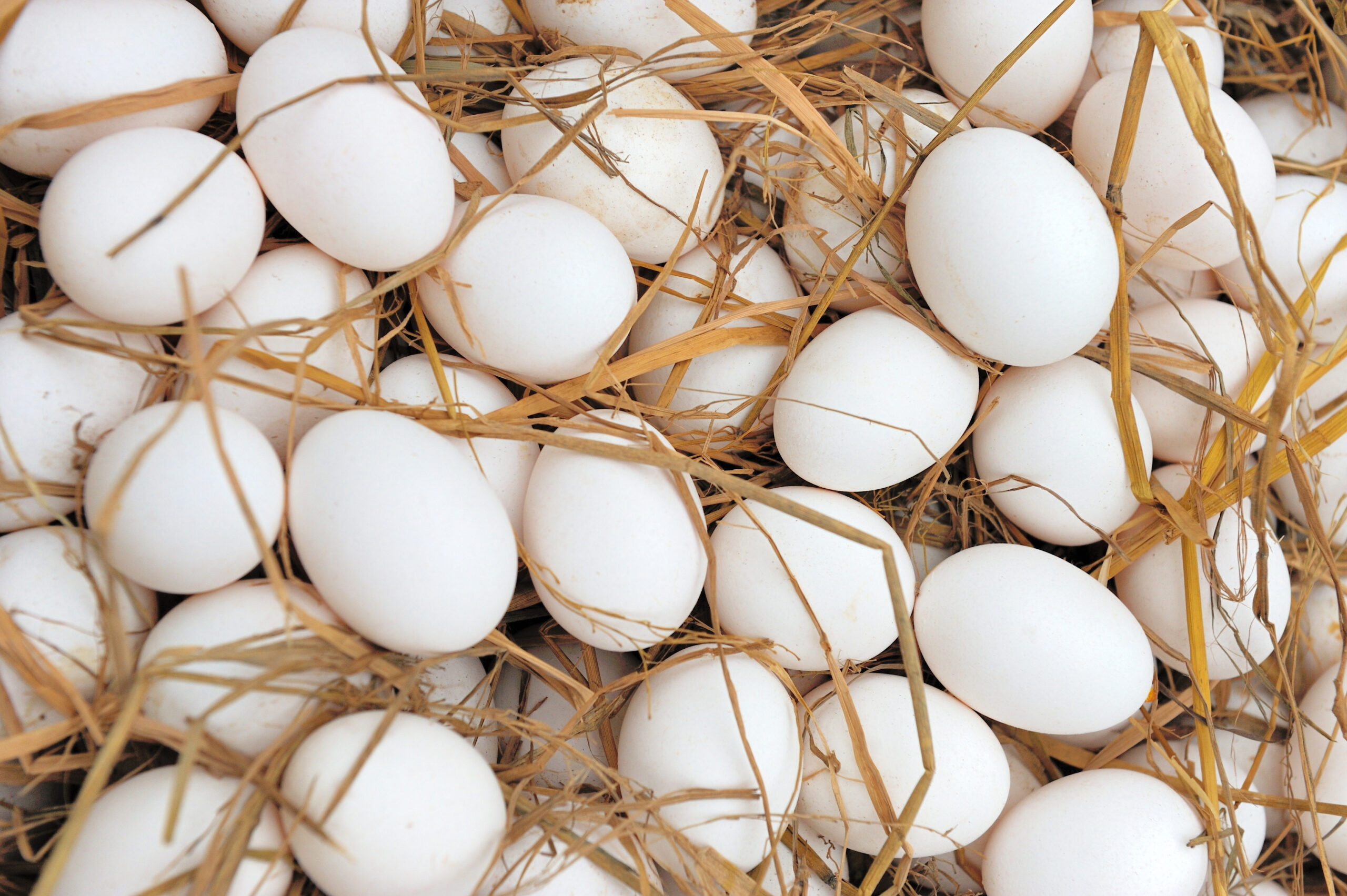 White eggs at hay nest in market